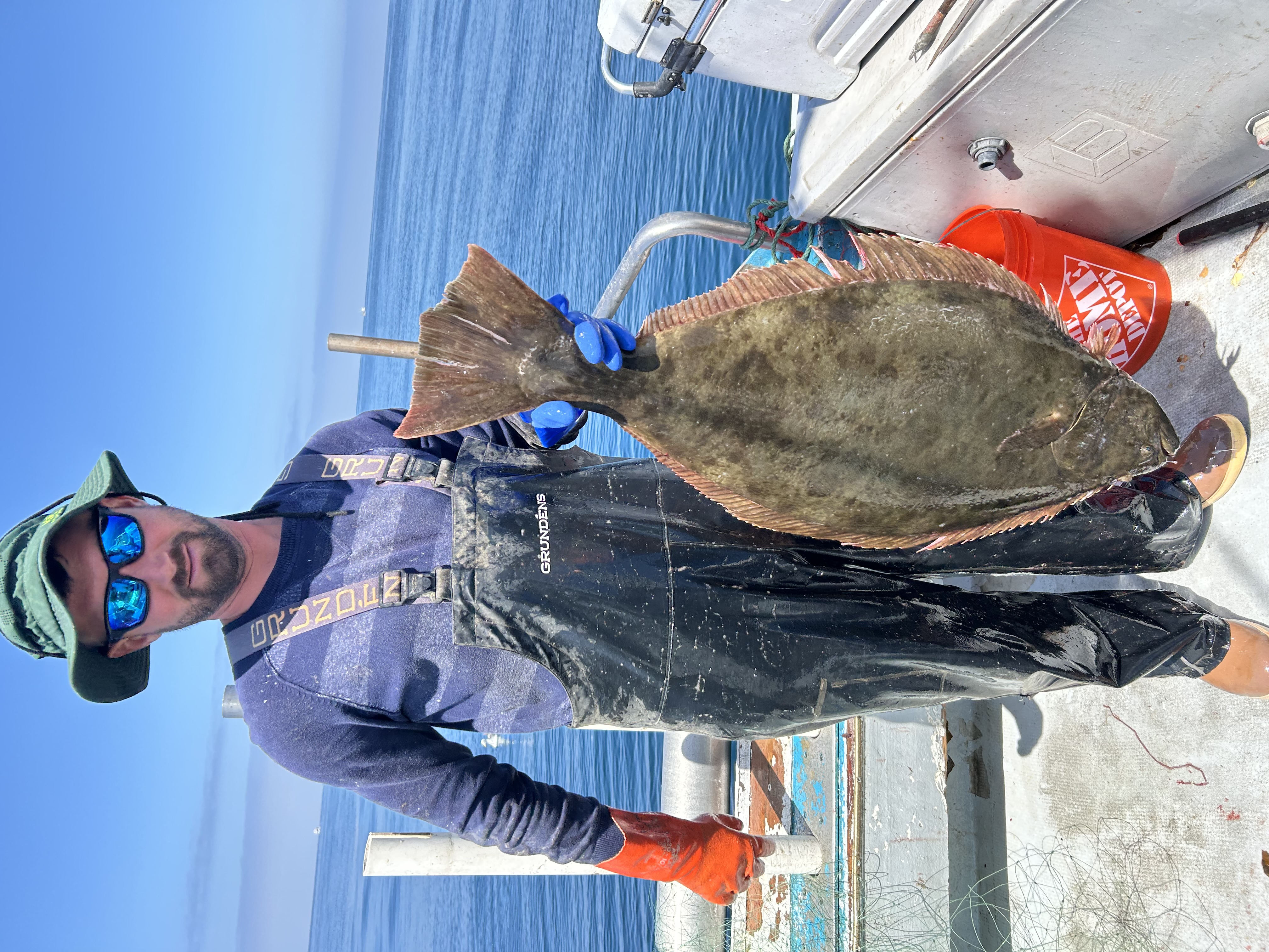 Halibut