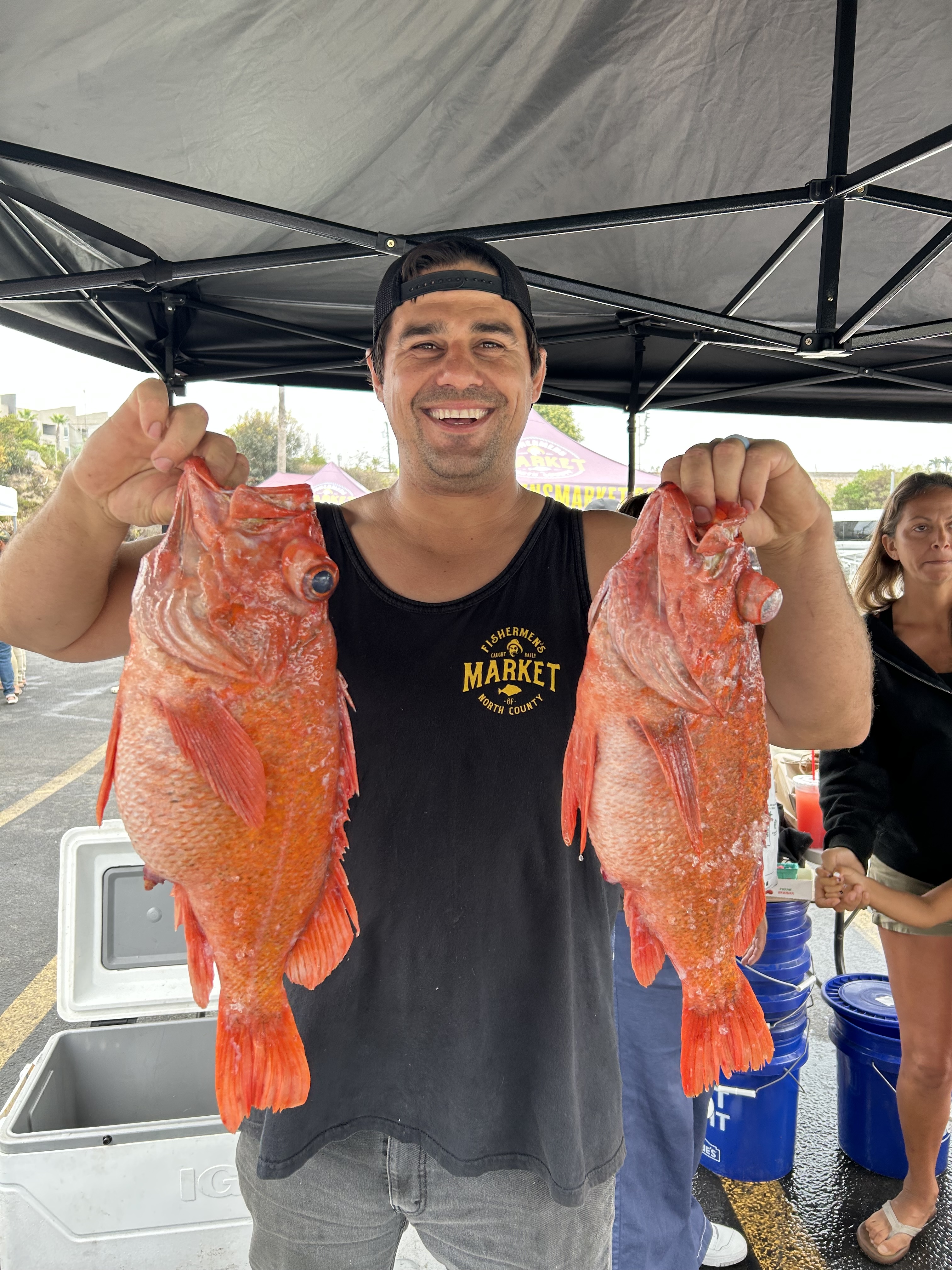 Rockfish