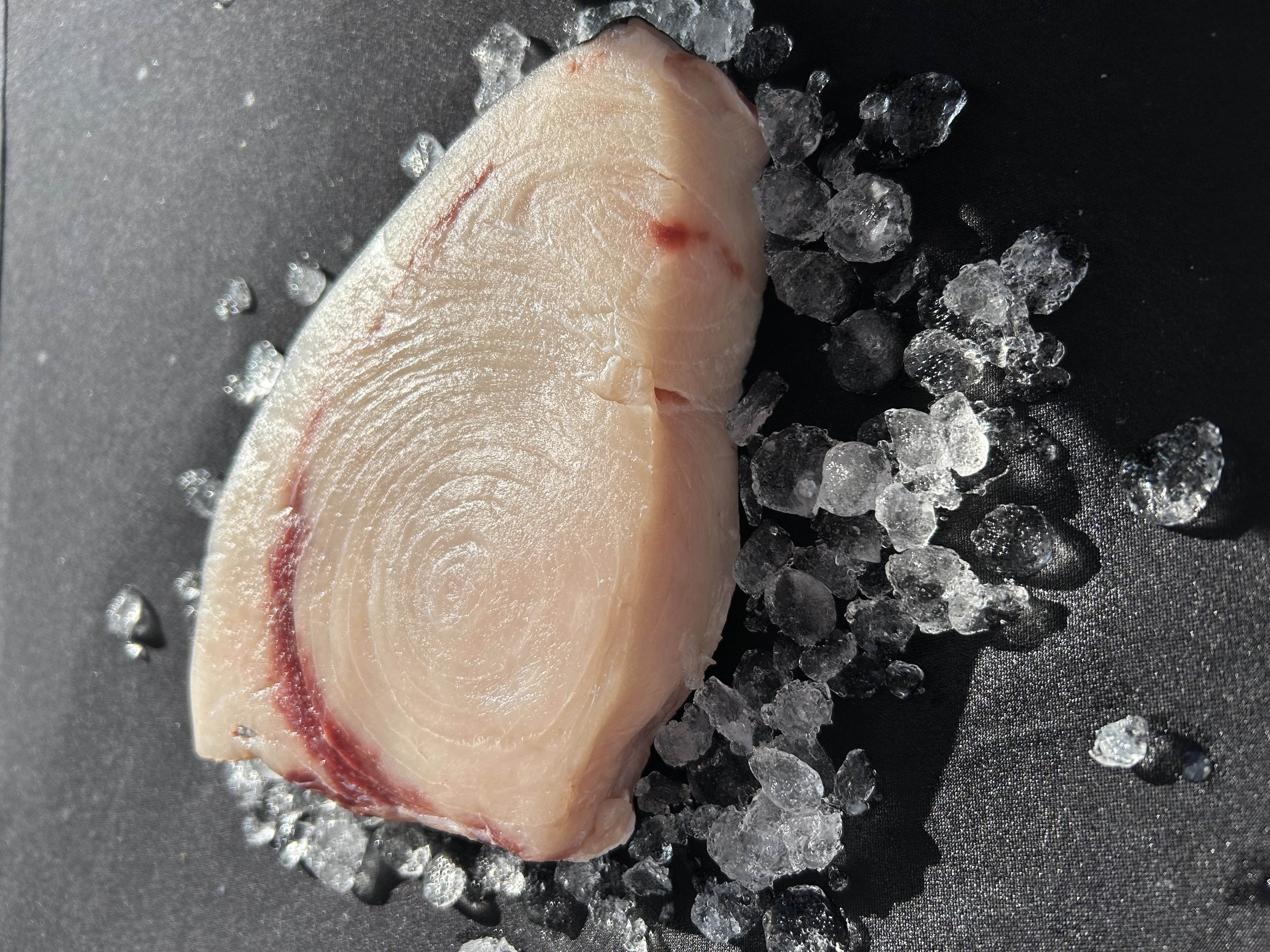 Swordfish